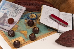 Adventurous Collection